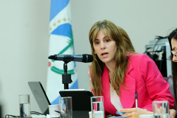 Piden que las reformas del DNU de Milei se debatan en el Congreso de la Nación