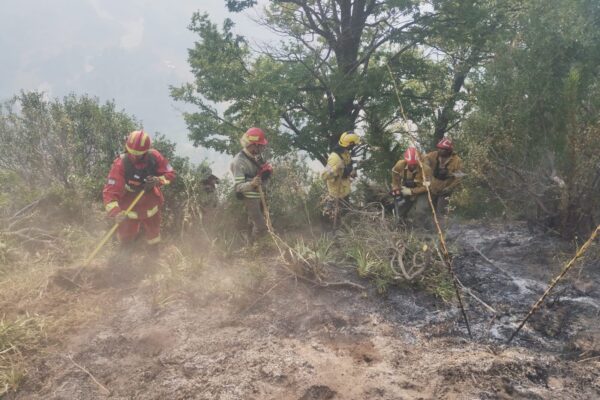 Bomberos voluntarios de Neuquén denuncian incumplimiento de la Ley 3359