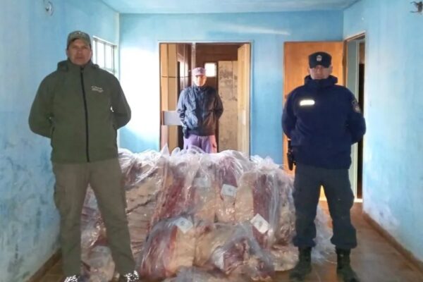 Decomisaron más de 3.200 kilos de carne ilegal valuada en 65 millones de pesos