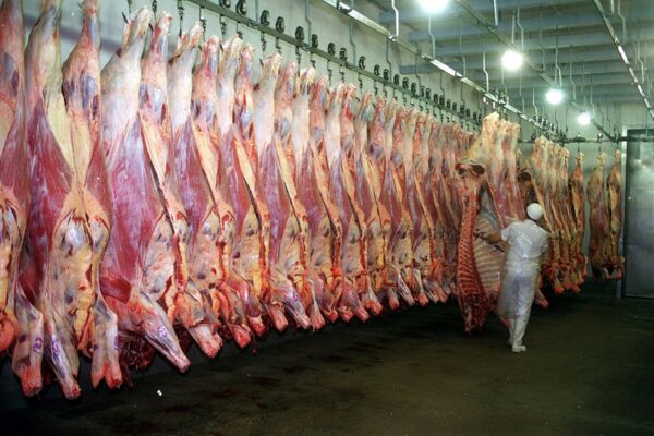 El Gobierno nacional habilitó el ingreso de carne con hueso a la Patagonia