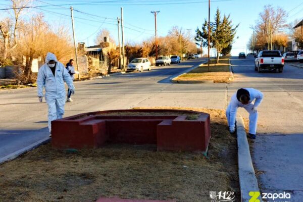 Alerta en Zapala: investigan el envenenamiento de perros en un barrio