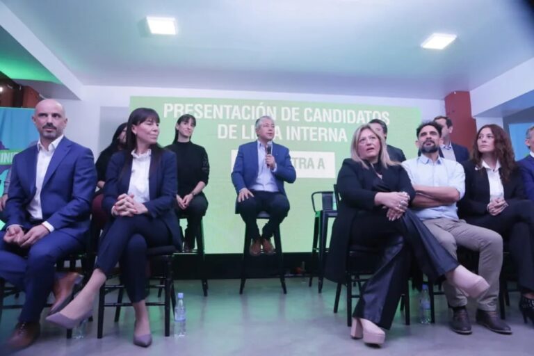 Figueroa presentó su lista sin internas y apuesta fuerte a consolidar el proyecto de La Neuquinidad