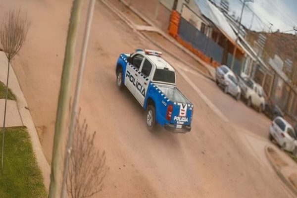 Abren causa judicial y administrativa por el atropello de “Gorda”, la perrita pitbull en Neuquén